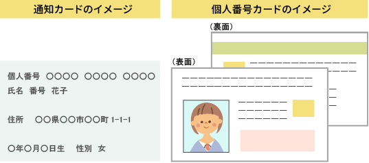 }Cio[J[hC[W